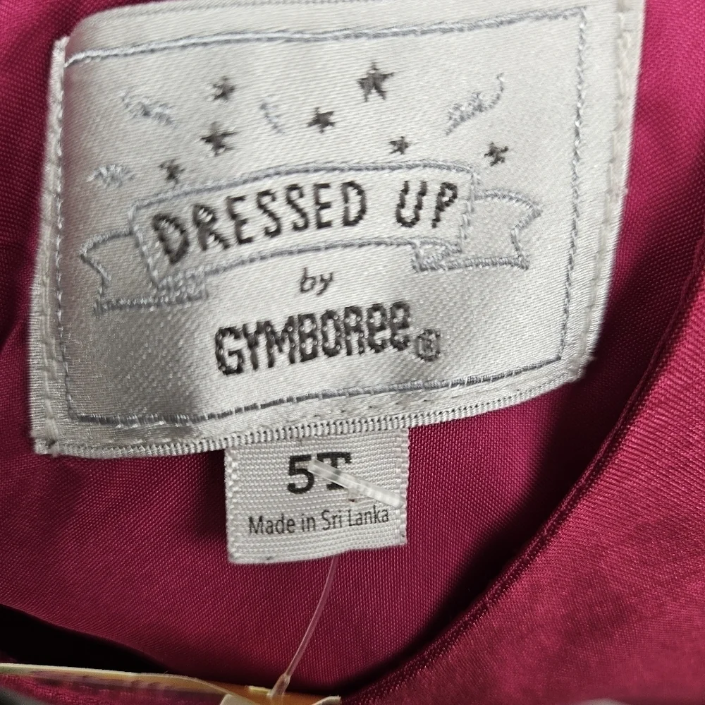 GYMBOREE Pink and Black Rose Dress 5T
